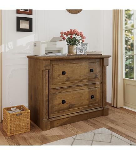 Amazon.com: Z-Line Designs 2-Drawer Lateral File Espresso Cabinet